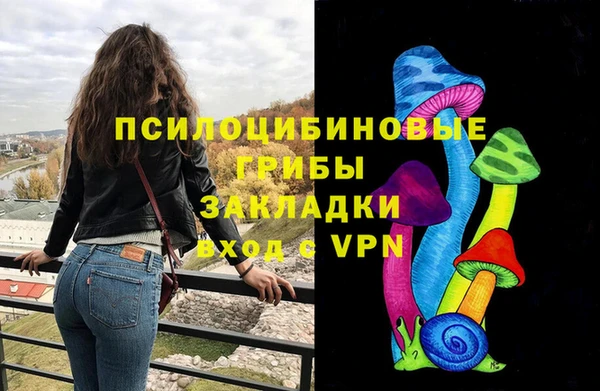 соль ск Лиски