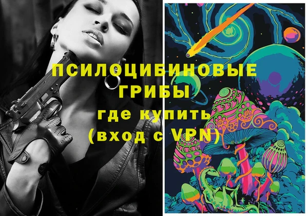 прущие грибы Липки