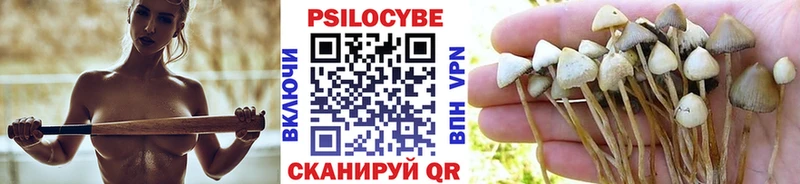 Галлюциногенные грибы Magic Shrooms  Егорьевск 