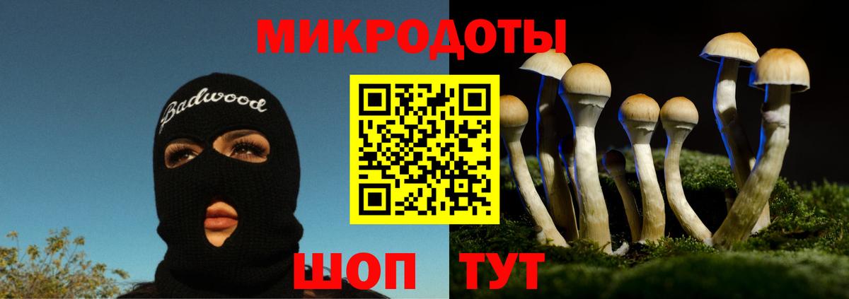 Псилоцибиновые грибы ЛСД Егорьевск