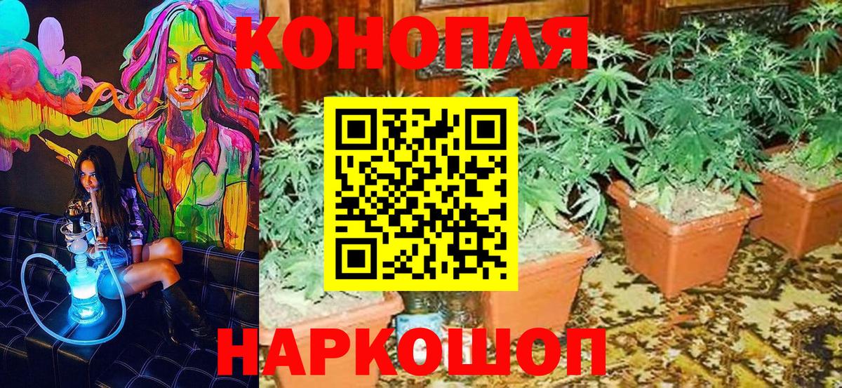 Шишки марихуана MAZAR  Егорьевск  Каннабис White Widow  Шишки марихуана Amnesia  Шишки марихуана конопля 