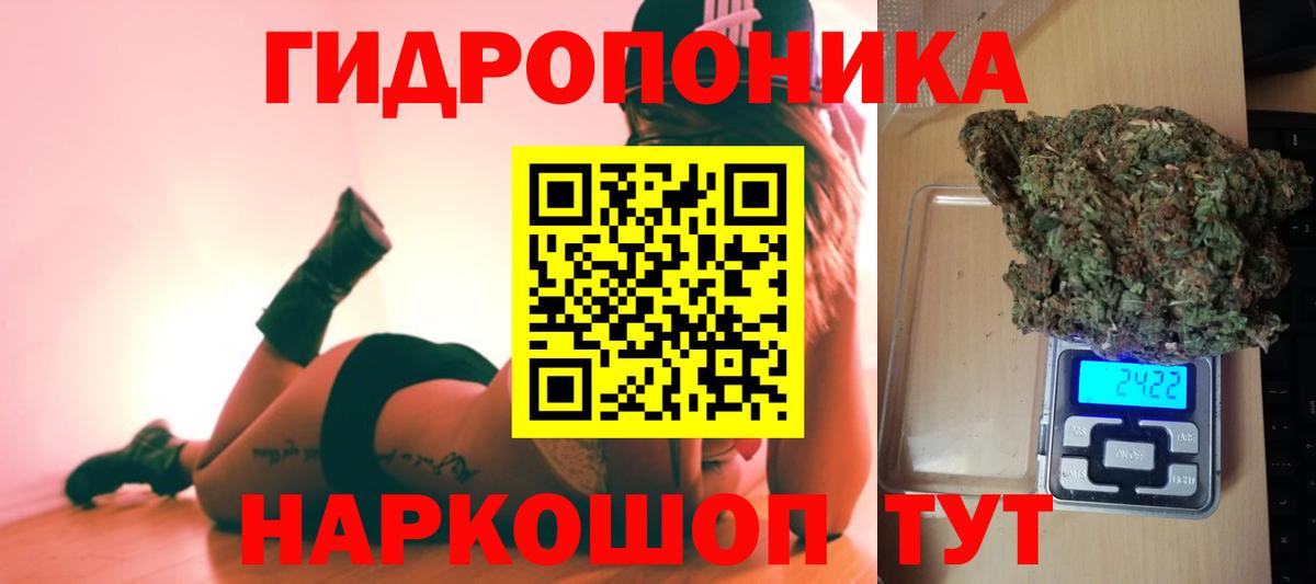 Канабис Bruce Banner Егорьевск